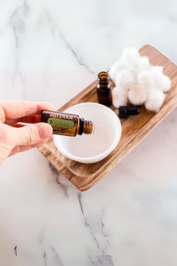 doTERRA Tea Tree (Melaleuca) Essential Oil